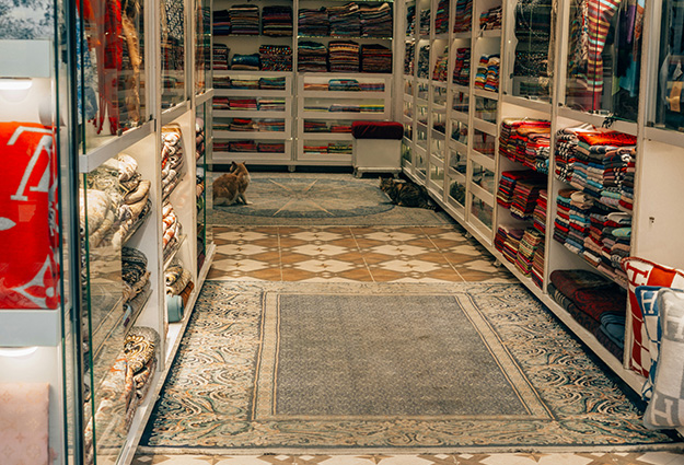 Shop floor automation with cloud ERP India by Invitra Technologies, connecting machines and NetSuite in real time