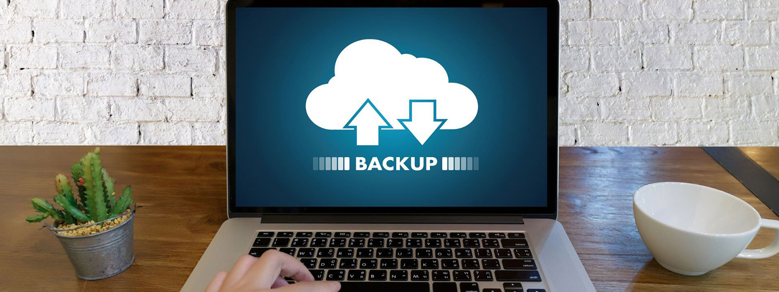 India Compliant - NetSuite Data Backup solution